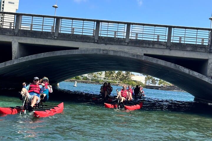 Pedal Condado Lagoon: Chiliboats Waterbike Eco-Tour in San Juan photo 3