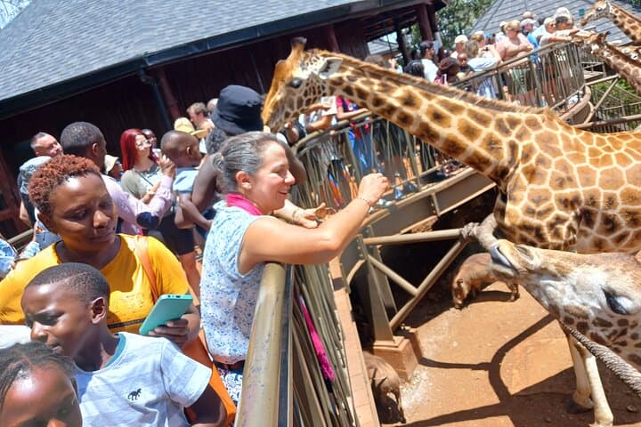 Urban Safari Adventure: Exploring Nairobi National Park in a Private 4x4 Jeep photo 5