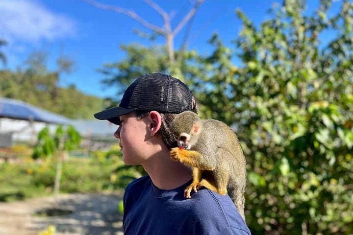 Damajagua Waterfalls & Monkey Home Private Van Tour — 27 Charcos Adventure from Puerto Plata photo 2