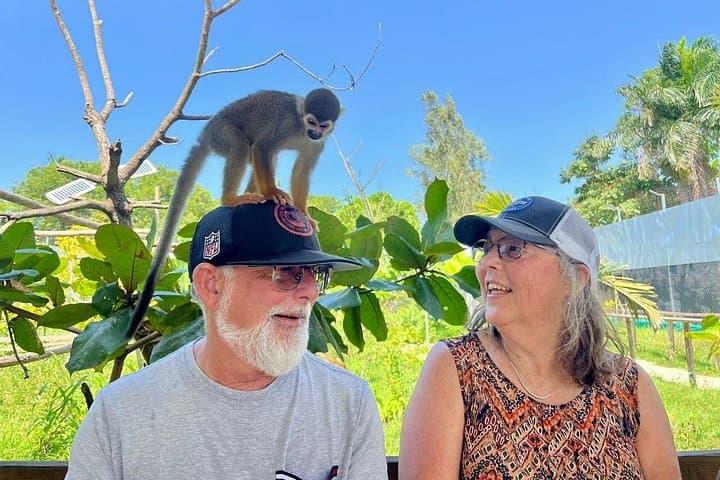 Damajagua Waterfalls & Monkey Home Private Van Tour — 27 Charcos Adventure from Puerto Plata photo 4