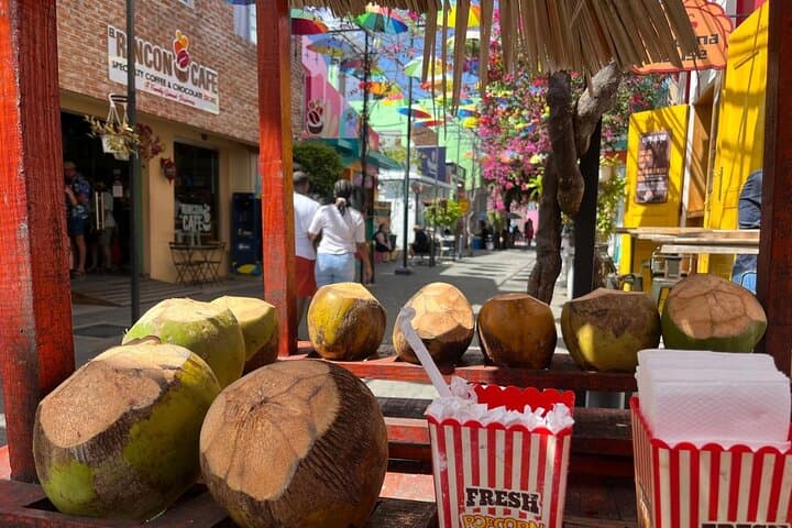 Puerto Plata Private City Tour: Chocolate, Amber & Colonial Forts photo 4
