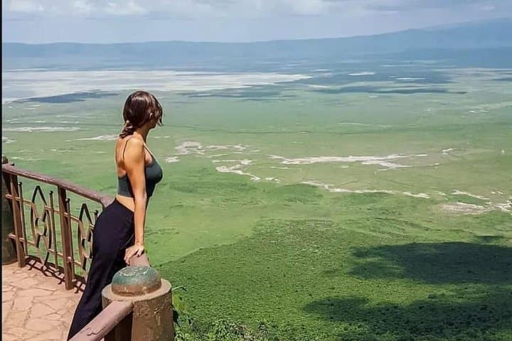Short & Sweet 4-Day Safari: Tarangire and Ngorongoro Crater Wildlife photo 4