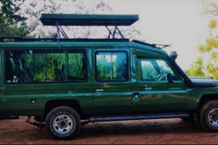 Urban Safari Adventure: Exploring Nairobi National Park in a Private 4x4 Jeep photo 6