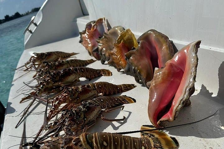 Private Boat Charter to Stingray City & Starfish Point — Grand Cayman Snorkel Tour photo 3