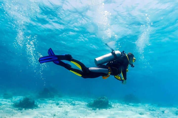 Scuba Diving in Angra dos Reis: Ilha Grande Day Boat Dives photo 2