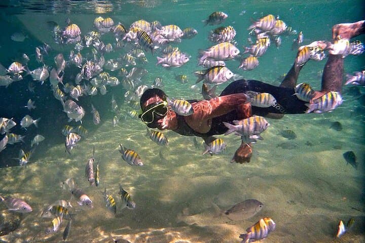 Scuba Diving in Angra dos Reis: Ilha Grande Day Boat Dives photo 4