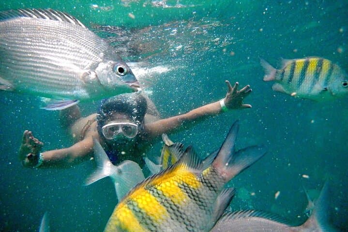 Scuba Diving in Angra dos Reis: Ilha Grande Day Boat Dives photo 5