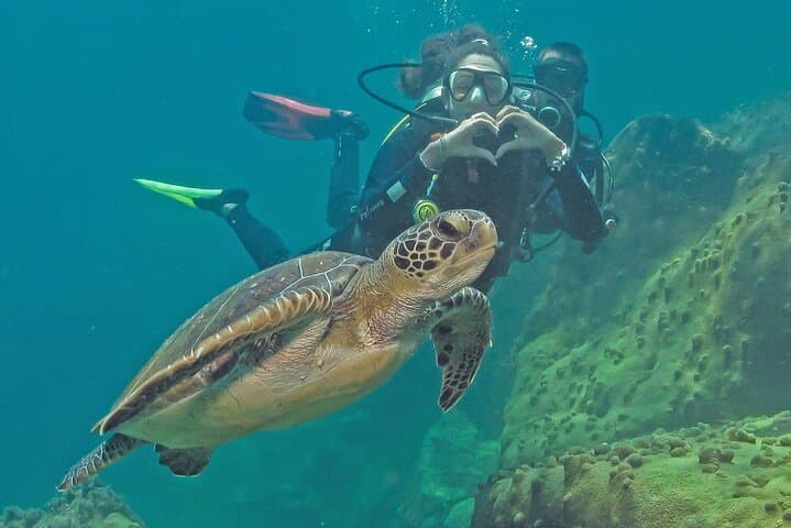Diving Angra dos Reis: Crystal Waters & Marine Life — One-Day PADI Dive Trip photo 6