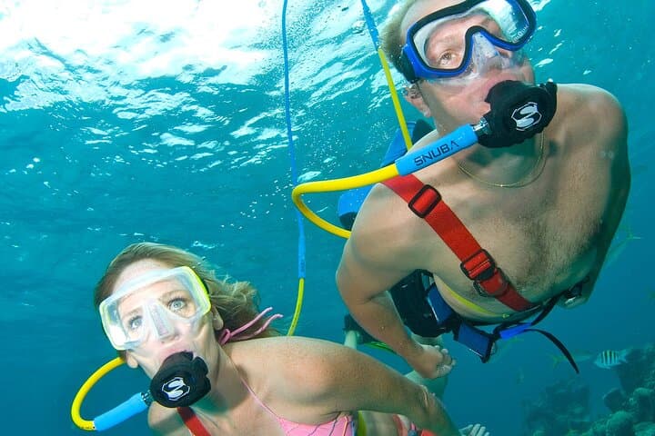 Snuba Cabo San Lucas: Dive Without a Tank Near El Arco photo 4