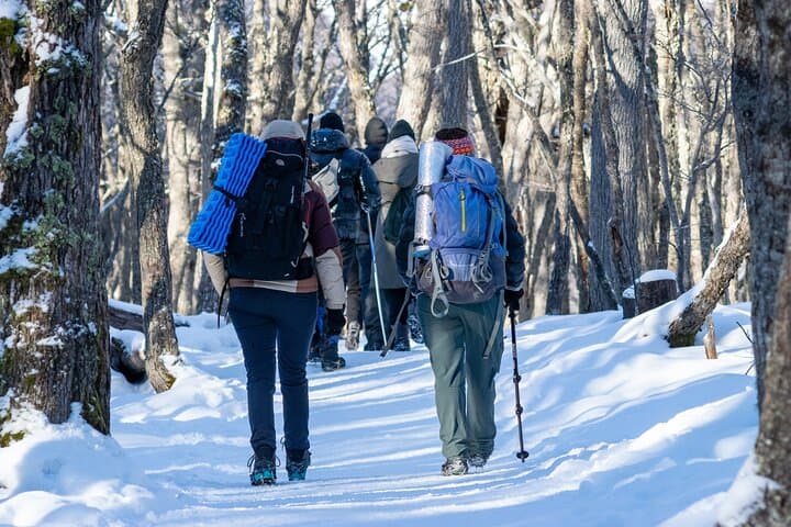 Laguna Esmeralda Private Trek — Emerald Lagoon Day Hike from Ushuaia photo 6