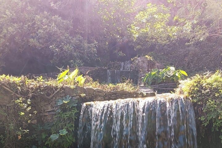 Kournas Lake & Argyroupolis Waterfalls Day Trip from Rethymno