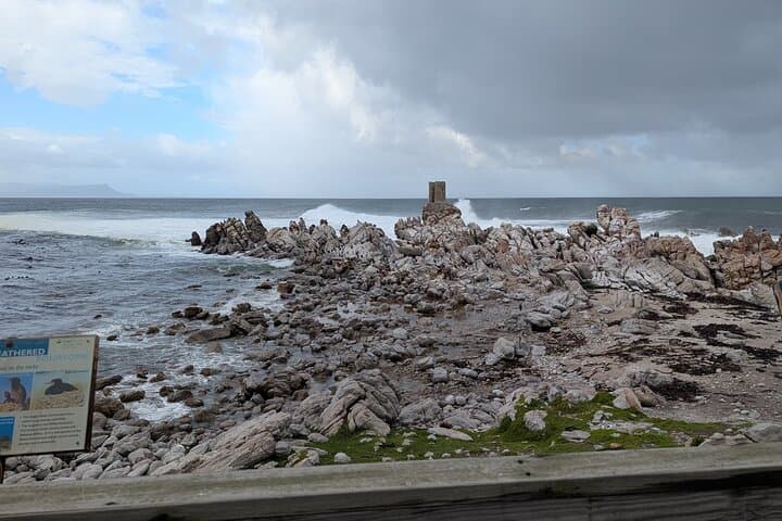 Cape of Good Hope, Cape Point & Boulders Beach Half-Day Tour — Cape Town Coastal Highlights photo 6