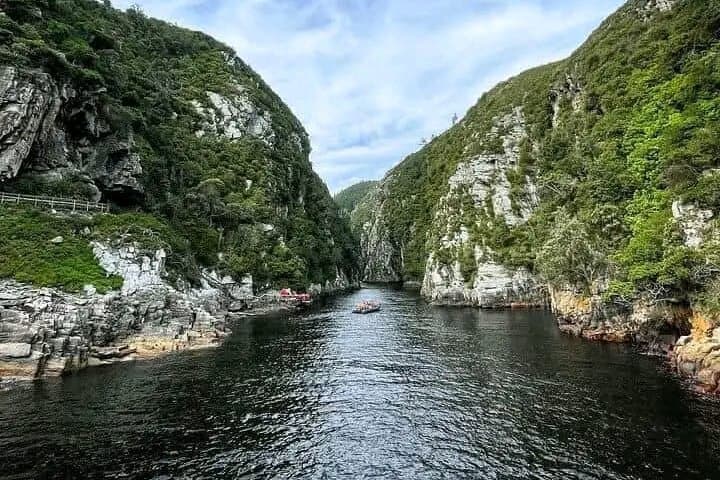 Full-Day Tsitsikama National Park Tour from Port Elizabeth: Big Tree, Storms River & Adventure Options