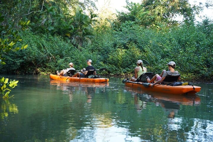 Pedal Kayak the Damas Mangroves: 3-Hour Wildlife Tour from Quepos photo 2
