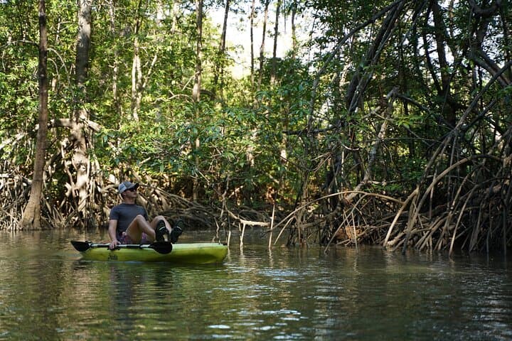 Pedal Kayak the Damas Mangroves: 3-Hour Wildlife Tour from Quepos photo 3