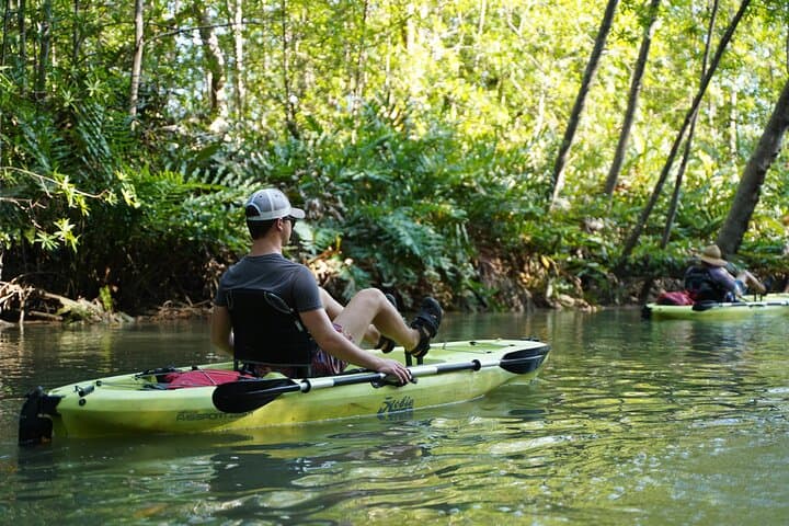 Pedal Kayak the Damas Mangroves: 3-Hour Wildlife Tour from Quepos photo 5