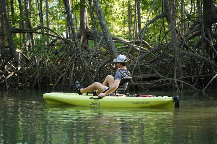 Pedal Kayak the Damas Mangroves: 3-Hour Wildlife Tour from Quepos