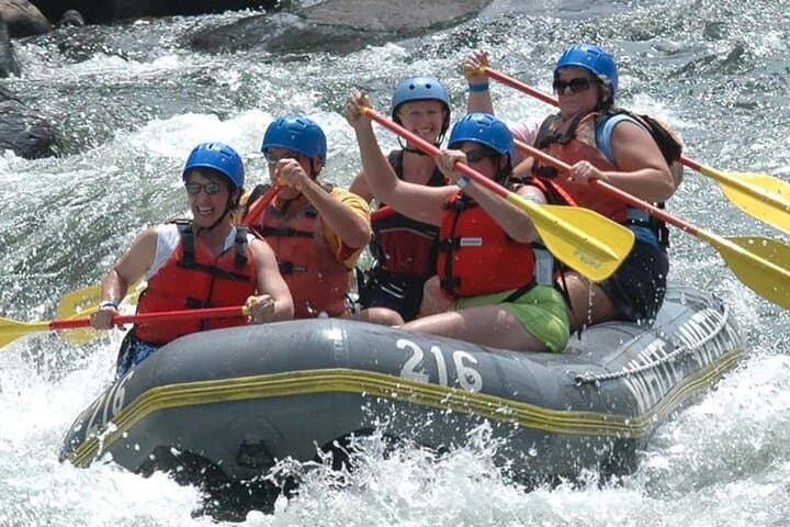 Rafting Rio Mambucada: Paraty River Rafting in the Atlantic Forest photo 3