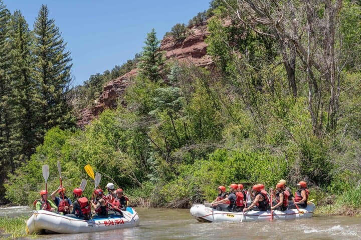 Telluride San Miguel River Whitewater: Half-Day Afternoon Rafting Guide photo 3