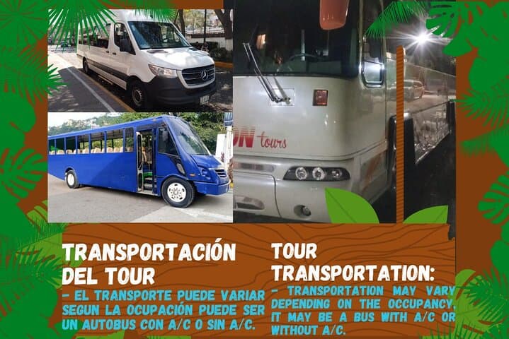 Puerto Vallarta Express: Butterfly Garden, Tequila Tasting & Mismaloya Beach Day photo 2