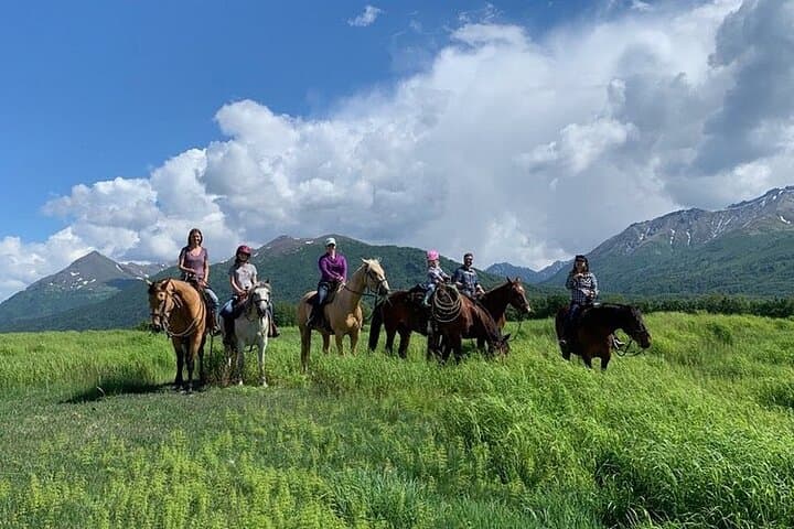 Trail Ride and Zipline Adventure Combo: Sauderland Homestead Near Anchorage