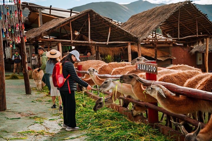 Complete Sacred Valley Tour: Pisac, Maras, Moray & Ollantaytambo Day Trip from Cusco photo 6