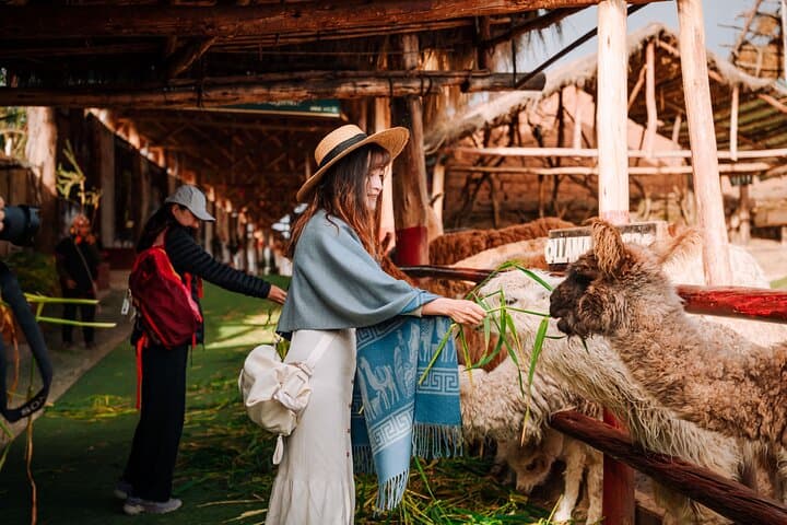 Complete Sacred Valley Tour: Pisac, Maras, Moray & Ollantaytambo Day Trip from Cusco