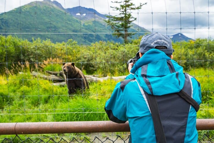 Anchorage to Whittier Wildlife Adventure — Seward Highway Drive & AWCC Stop photo 5