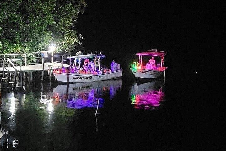 Manialtepec Bioluminescence Night Tour from Huatulco — Swim the Glowing Lagoon photo 4