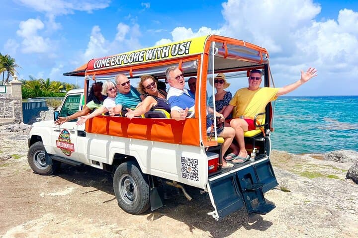 6-Hour Coastal Tour of Barbados: East Coast Views, Lunch & Local Stories photo 3