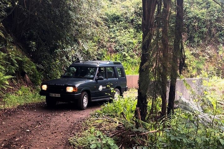 Madeira Jeep Adventure: Zipline, Giant Swing & Volcanic Pools photo 6