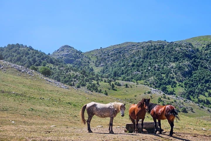 Private 4x4 Safari to Lukomir Village & Boracko Lake from Sarajevo photo 2