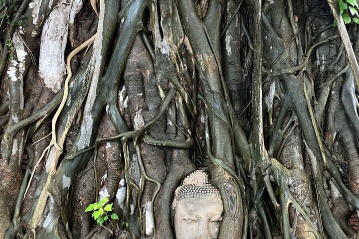 Ayutthaya Hidden Gems Day Tour: Gothic Cable Car, Lotus-Pond Lunch & Ancient Ruins photo 4