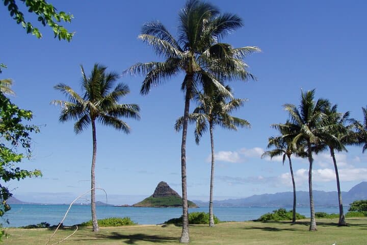 Oʻahu Circle Island Private Tour for Couples — A Romantic Day Around the Island photo 4