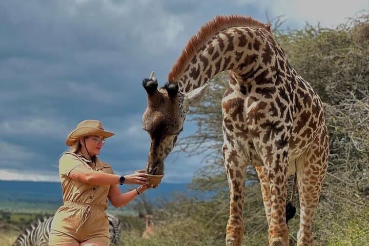 Tanzania to Zanzibar: 5-Day Wild Safari, Walking With Lions & Sea Turtle Swim photo 3