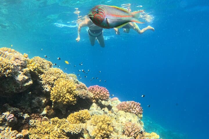 Eden Island Private Speedboat Tour — Hurghada Snorkeling, Beach Time & Lunch photo 4