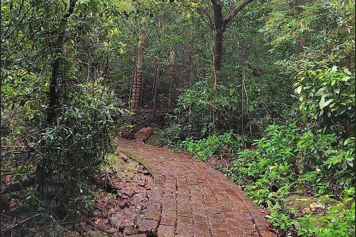 Pune to Koyna: Overnight Jungle Expedition & Jeep Safari in Koyna Wildlife Sanctuary photo 2