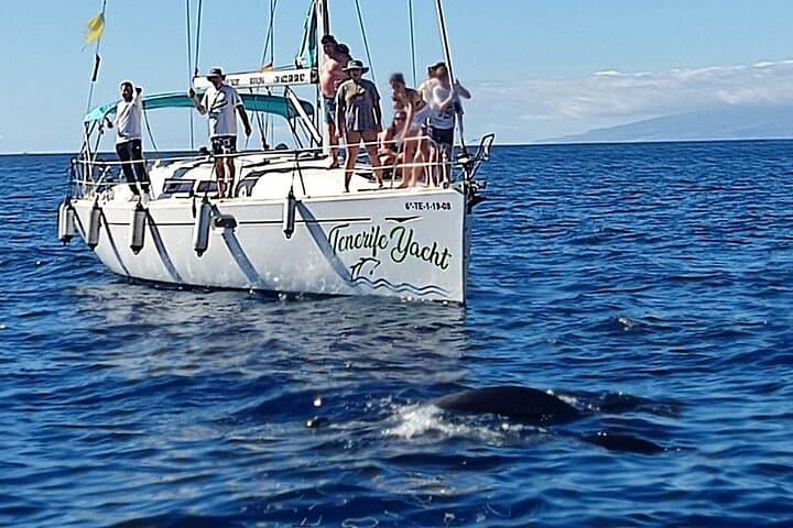 Luxury Sailboat Whale Watching in Costa Adeje — 3-Hour Teno-Rasca Excursion photo 5