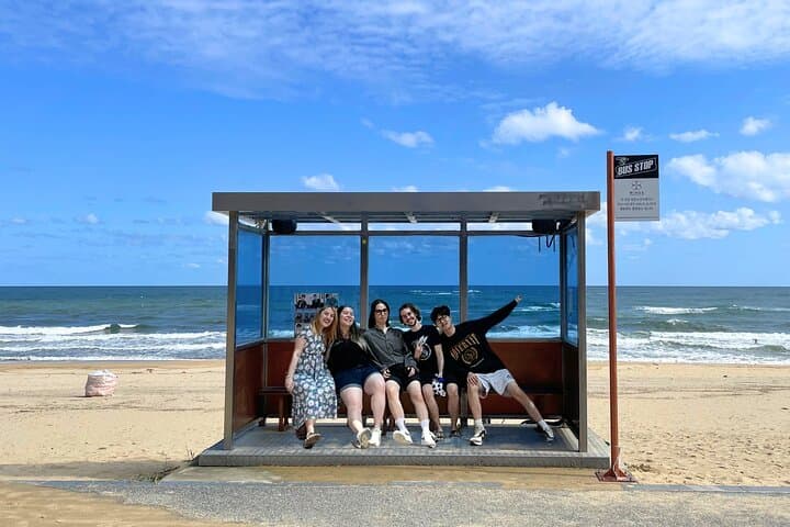 Gangneung Sightseeing Day Tour: Naksansa Temple, BTS Spring Stop & Sheep Farm