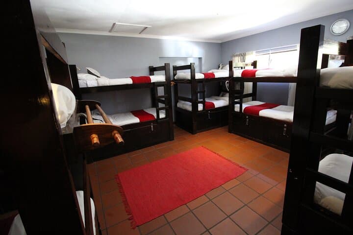 6-Day Garden Route Adventure: Budget Tour with Safari, Bungee & Canoe photo 6