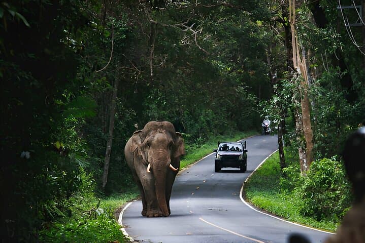 Khao Yai Private Day Trip from Bangkok — Waterfalls, Wildlife & Forest Trails photo 2