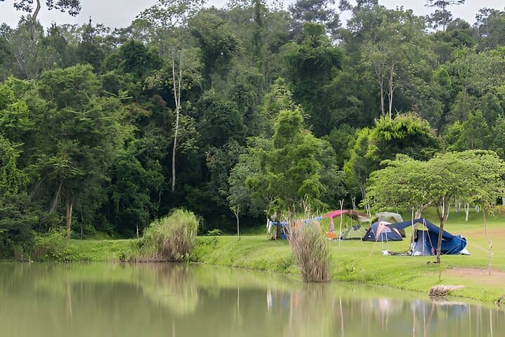 Khao Yai Private Day Trip from Bangkok — Waterfalls, Wildlife & Forest Trails photo 4