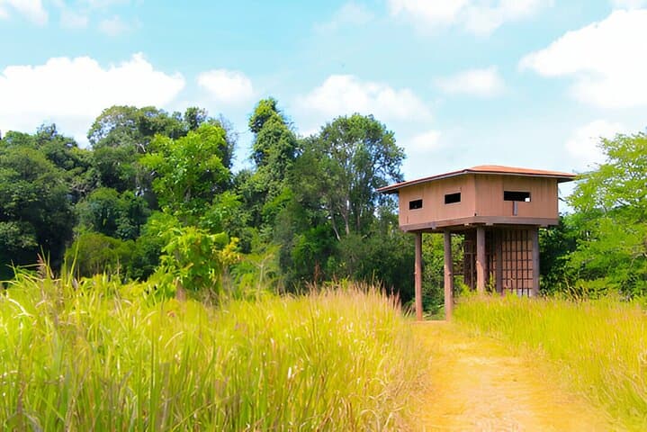 Khao Yai Private Day Trip from Bangkok — Waterfalls, Wildlife & Forest Trails photo 5