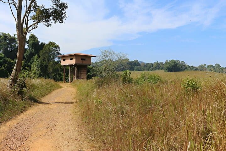 Khao Yai Private Day Trip from Bangkok — Waterfalls, Wildlife & Forest Trails photo 6