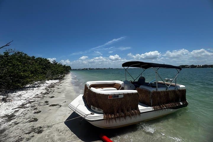 Siesta Key to Venice: 4-Hour Private Boat Tour from Hidden Harbor Marina photo 4