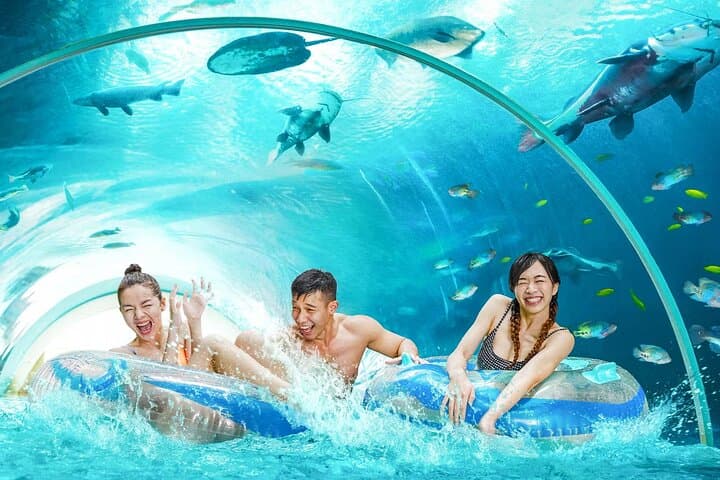 Adventure Cove Waterpark Singapore — Tickets, Tips & What to Expect