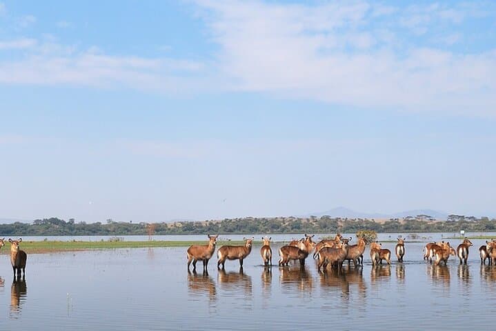 Hell's Gate & Lake Naivasha Day Trip: Bike, Boat and Geothermal Spa from Nairobi photo 6