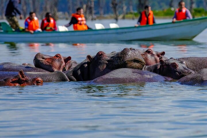 Hell's Gate & Lake Naivasha Day Tour — Biking Gorges, Flamingos and Boat Safaris from Nairobi