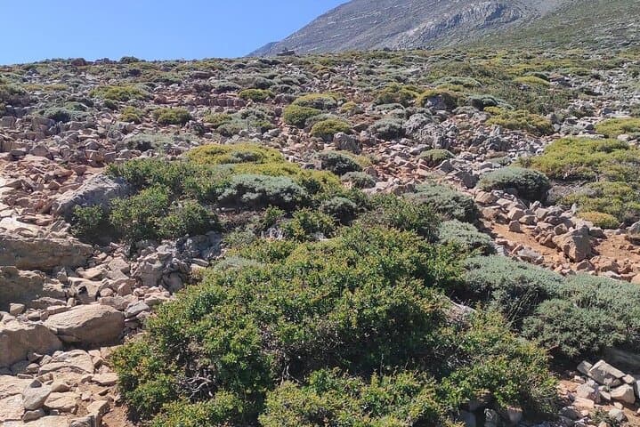 Summit Mount Psiloritis: Private Trek to Timios Stavros on Crete photo 5