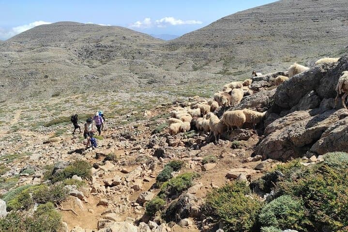 Summit Mount Psiloritis: Private Trek to Timios Stavros on Crete photo 6